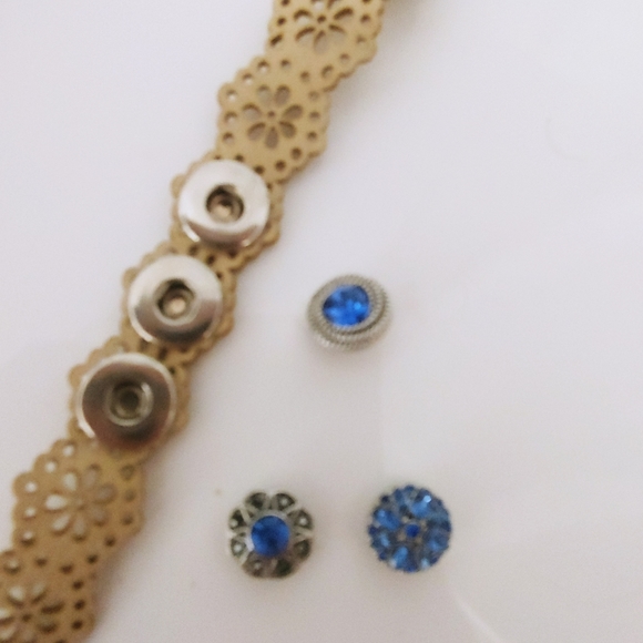 Magnolia and Vine | Tan Bracelet Blue Silver Snaps - Picture 8 of 8